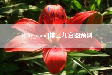 永城排三九宫图预测