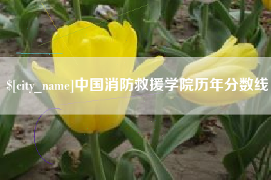 永城中国消防救援学院历年分数线
