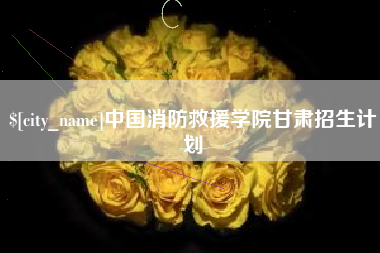 永城中国消防救援学院甘肃招生计划