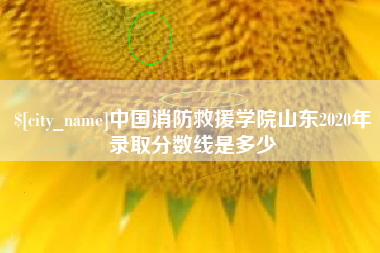 永城中国消防救援学院山东2020年录取分数线是多少