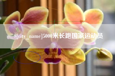 永城5000米长跑国家运动员