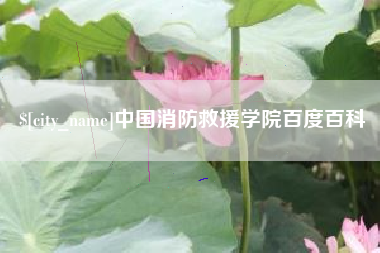 永城中国消防救援学院百度百科