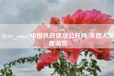 永城中国执政信息公开网-失信人员查询页