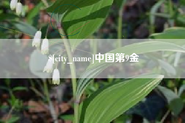 永城中国第9金