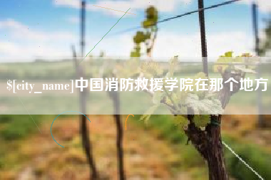 永城中国消防救援学院在那个地方