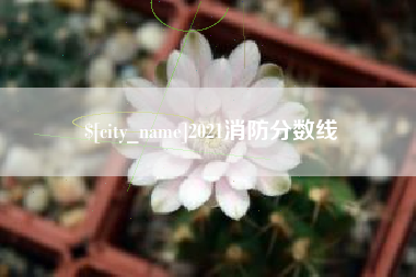 永城2021消防分数线