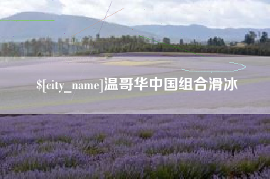 永城温哥华中国组合滑冰