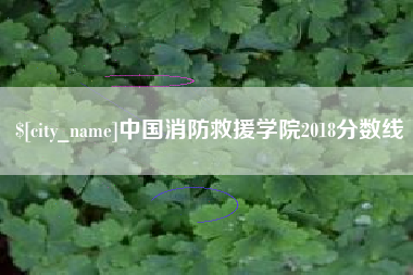 永城中国消防救援学院2018分数线