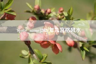 永城2021年九宫格风水