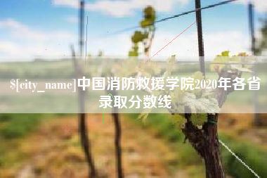 永城中国消防救援学院2020年各省录取分数线