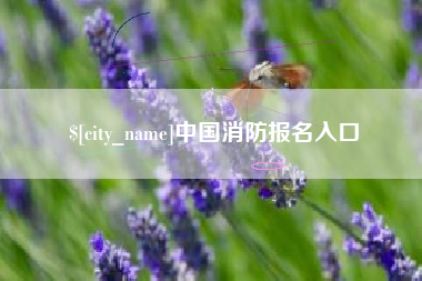 永城中国消防报名入口