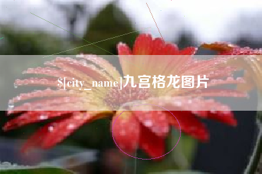 永城九宫格龙图片