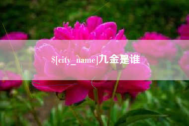 永城九金是谁