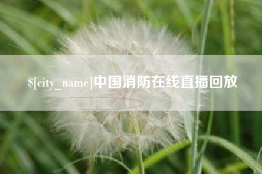 永城中国消防在线直播回放