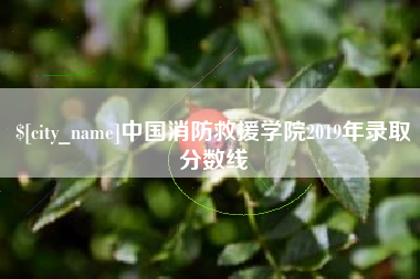 永城中国消防救援学院2019年录取分数线