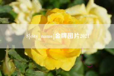 永城金牌图片2021