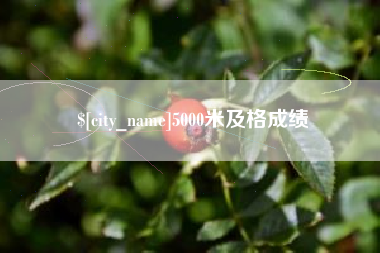 永城5000米及格成绩