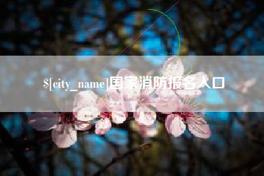 永城国家消防报名入口