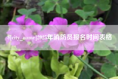 永城2025年消防员报名时间表格
