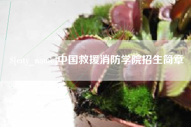 永城中国救援消防学院招生简章