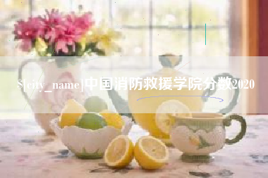 永城中国消防救援学院分数2020