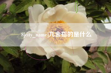 永城九金指的是什么