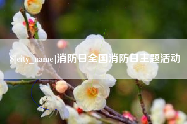 永城消防日全国消防日主题活动