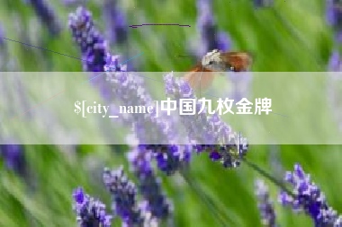 永城中国九枚金牌