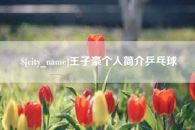 永城王子豪个人简介乒乓球