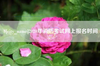永城2020年消防考试网上报名时间