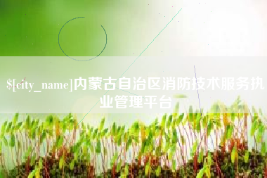 永城内蒙古自治区消防技术服务执业管理平台