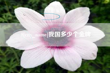 永城我国多少个金牌