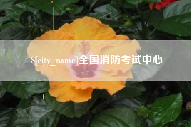 永城全国消防考试中心