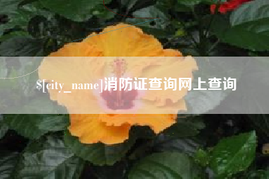 永城消防证查询网上查询