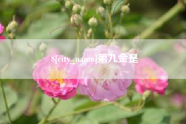 永城第九金是
