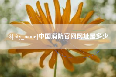 永城中国消防官网网址是多少