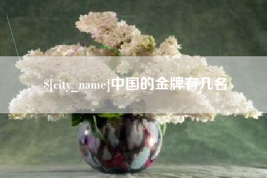 永城中国的金牌有几名