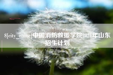 永城中国消防救援学院2021年山东招生计划