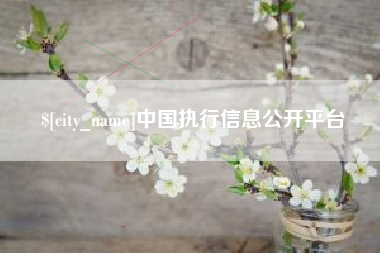 永城中国执行信息公开平台