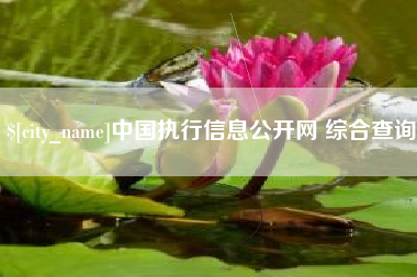 永城中国执行信息公开网 综合查询