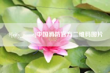永城中国消防官方二维码图片