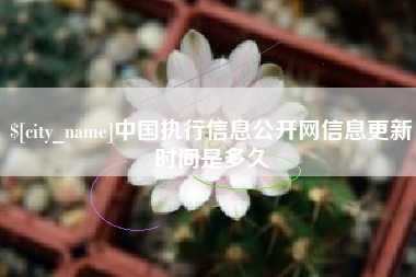永城中国执行信息公开网信息更新时间是多久