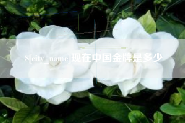 永城现在中国金牌是多少