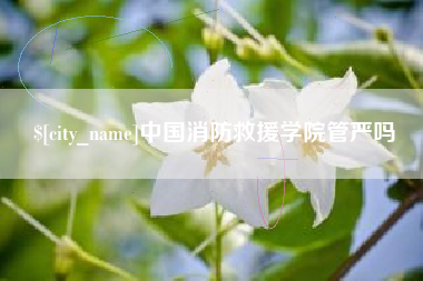 永城中国消防救援学院管严吗