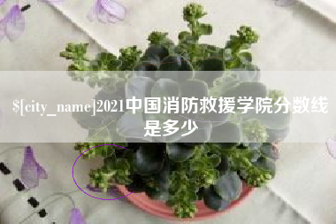 永城2021中国消防救援学院分数线是多少