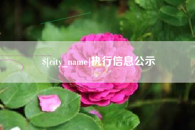永城执行信息公示