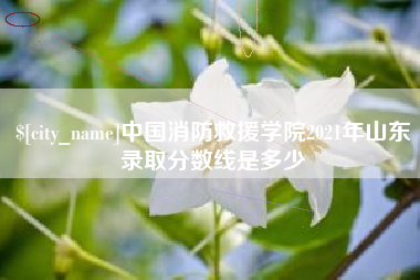 永城中国消防救援学院2021年山东录取分数线是多少