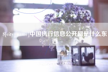 永城中国执行信息公开网是什么东西