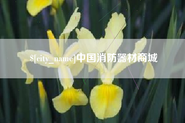 永城中国消防器材商城