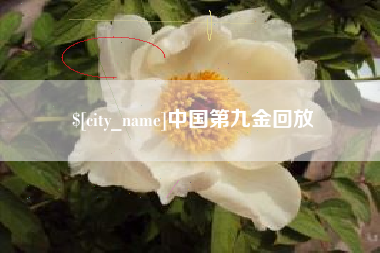 永城中国第九金回放